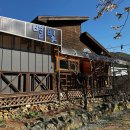 [청도 1박2일 여행] 벚꽃과 별이 쏟아지는 청도 독채 펜션 촌캉스 ‘코지 하우스’ 내돈내산 후기