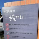 2024년 방동 윤슬거리 음악분수 이미지