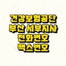 국민보험공단 부산서부지사 이미지