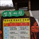 경충대로 2709번길 1 이미지