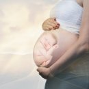 씨씨모텔 이미지