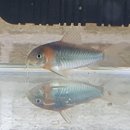 산천초목 이미지