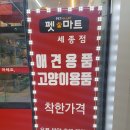 세종애견