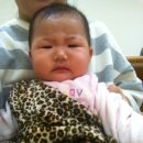 딩동댕 플레이 키즈스쿨(6~10개월) 이미지