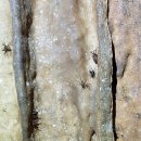 원동1-월둔 | [한국동굴탐험협회]2017년 10월 정기탐험 후기