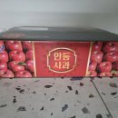 안동농원 | 꿀사과 찾다가 발견한 시고르농원 안동 청송 못난이 사과 3kg 솔직 후기 🍎