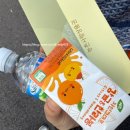 2024 제주국제무용제 | 2024 제주감귤국제박람회 내돈내산 방문 후기 (+귤따기체험중 생생정보통 인터뷰)