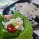 축산항맛집 영덕식당추천 금광호수산 대게세트 만족 후기
