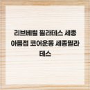 리브베럴 필라테스 세종 아름점 코어운동 세종필라테스