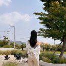 세정산업㈜ | 올리브영 선크림 달바 워터풀 에센스 선크림 촉촉한 자외선차단 추천