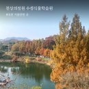 가화4길 옥천-3-1 | 옥천 천상의정원 수생식물학습원/ 단풍 명소/ 대청호 드라이브 코스/ 충북 옥천 가볼만한 곳