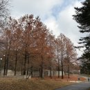 삼성미술관 Leeum | 크리스마스 이브, 호암미술관 [루이즈 부르주아]