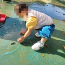 후사랑밀크(환희목장) 이미지