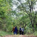 스포츠파크펜션 이미지