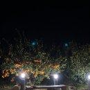 미깡낭밭 이미지