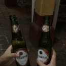Casa libre
