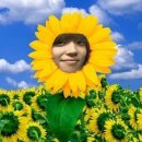치킨오빠 이미지