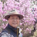 리프레쉬 - 포항시 북구 죽도로20번길 7 | 리프레쉬