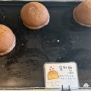 코코로팡