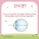 센트럴안경 이미지