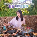 제주를 담다 이미지