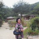 김약국 | 박경리 작가의 토지 작품 배경지