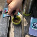 세림한약방