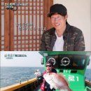 &#39;삼시세끼 어촌편&#39; 숙원사업, 유해진 참돔 낚시 성공의 의미 [TV와치] 이미지