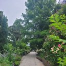 정원이있는 카페 이미지