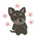 퍼피랜드 이미지