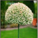 등불농장 이미지