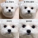 (주)토하 네이버블로그