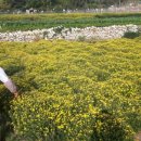 금국농장 이미지