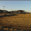 금남1리 이미지