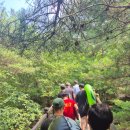 유진치과의원 이미지