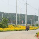 인량전통테마마을 | (영덕 가볼만한곳) 전통과 현대가 공존하는, 인량전통테마마을!