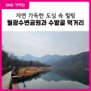 수밭골 웰빙음식거리 | [대구 달서구 SNS 기자단] 월광수변공원 산책로와 수밭골 웰빙음식거리 힐링 코스