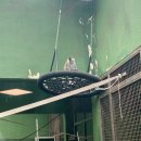 미호야 | 🐯과천 서울대공원 동물원 방문 후기