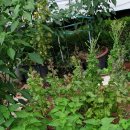 남현동-7 이미지