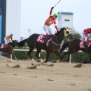부경운수(주) 스포츠서울