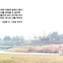 사랑을위하여 이미지