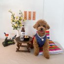 견복궁 | (김포) 견복궁 :: 애견카페후기 ::