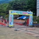 백양산임도(2) | 2026 백양산 숲길 건강달리기 대회 신청 정보 (+코스 상세후기)