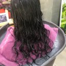 앨리헤어 이미지