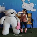 하소세탁 이미지