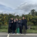 봉덕농장 이미지