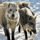 김건호농장 이미지