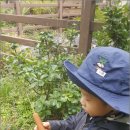 행복한숲유치원 이미지