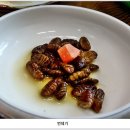 금강호 민물장어 이미지