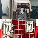 고은켄넬 이미지